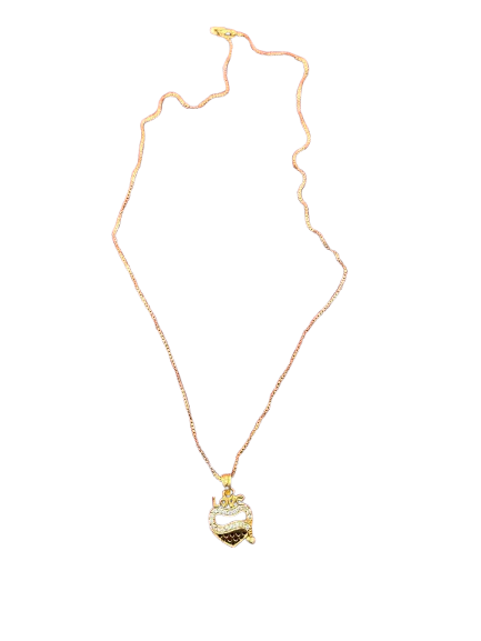 Chain and locket